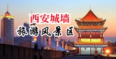 久久水蜜桃91私人影院中国陕西-西安城墙旅游风景区
